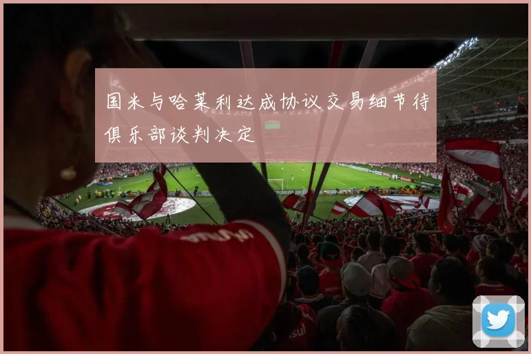 国米与哈莱利达成协议交易细节待俱乐部谈判决定